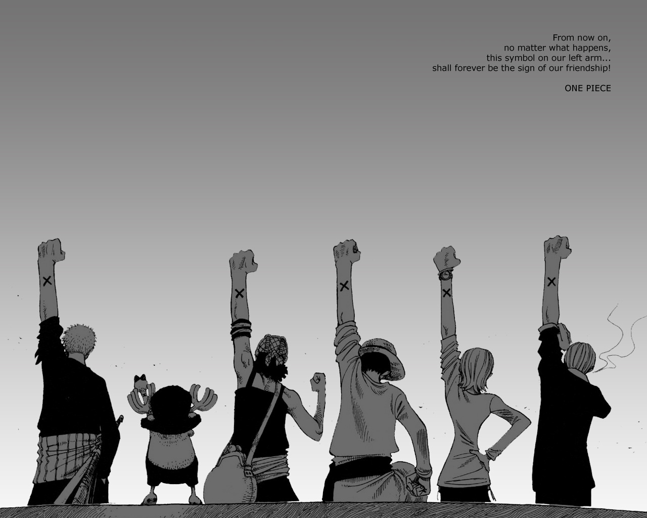 animeawcentral:  One Piece