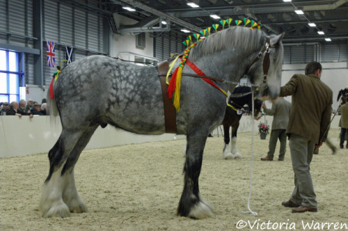 Deighton Silver Treasure (by Vicktrr)