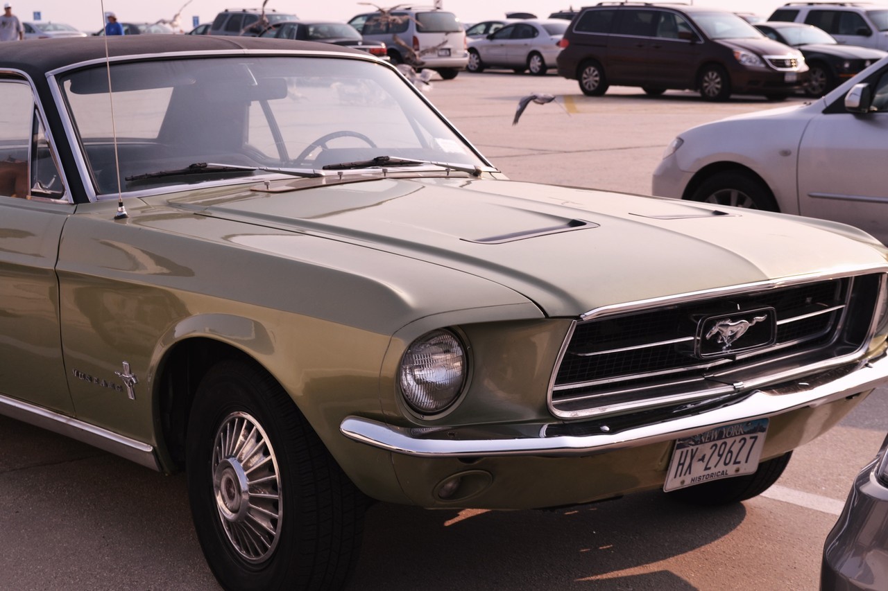 Ford Mustangs
