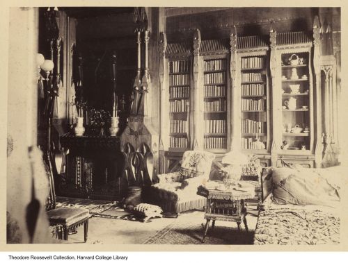 furnesque:Theodore Roosevelt, Sr. residenceinterior design6 West 57th St., New York, NY      The