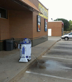 jackwhitesturntable:  R2D2, you are drunk.