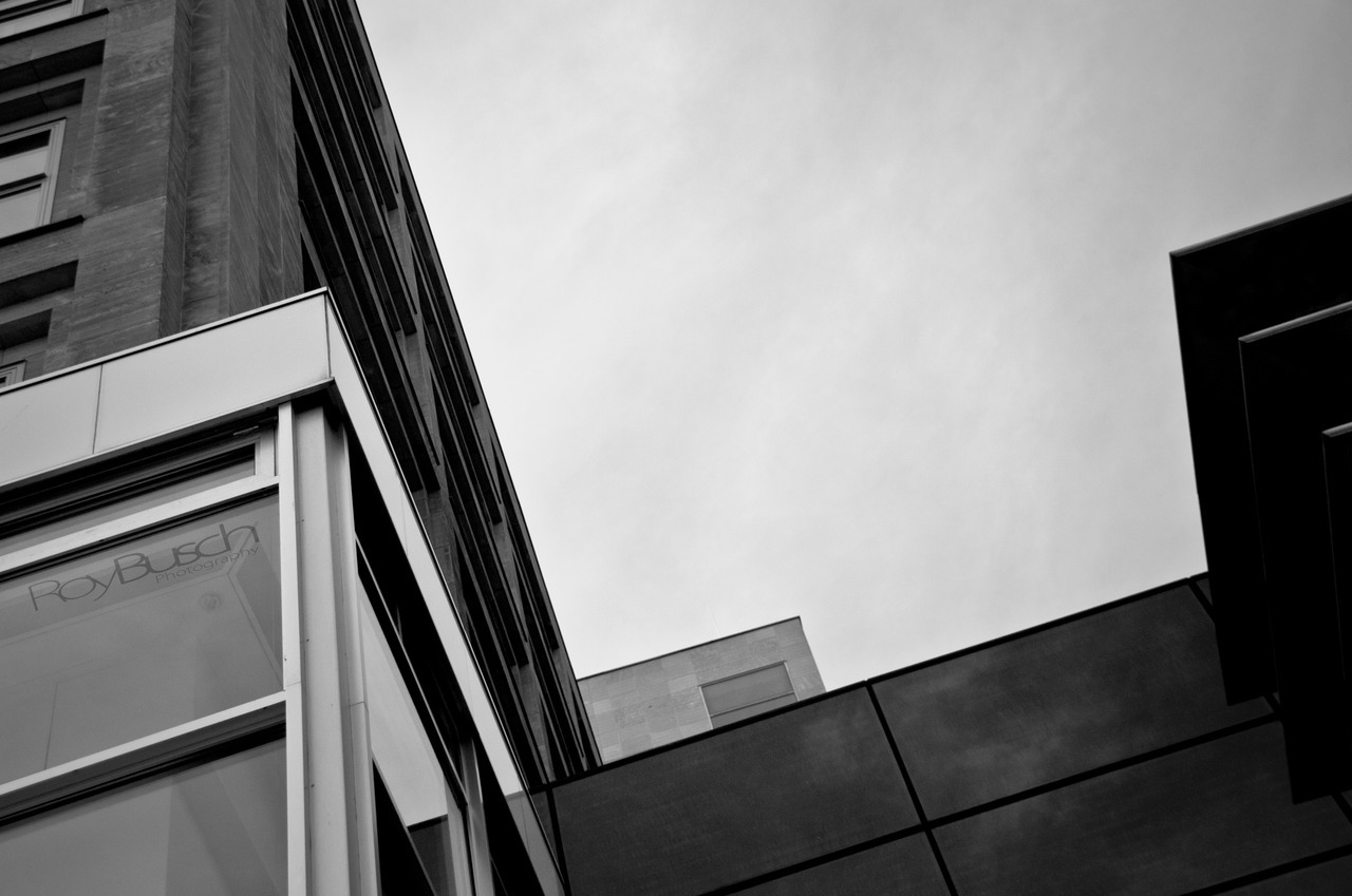 Roy Busch Photography