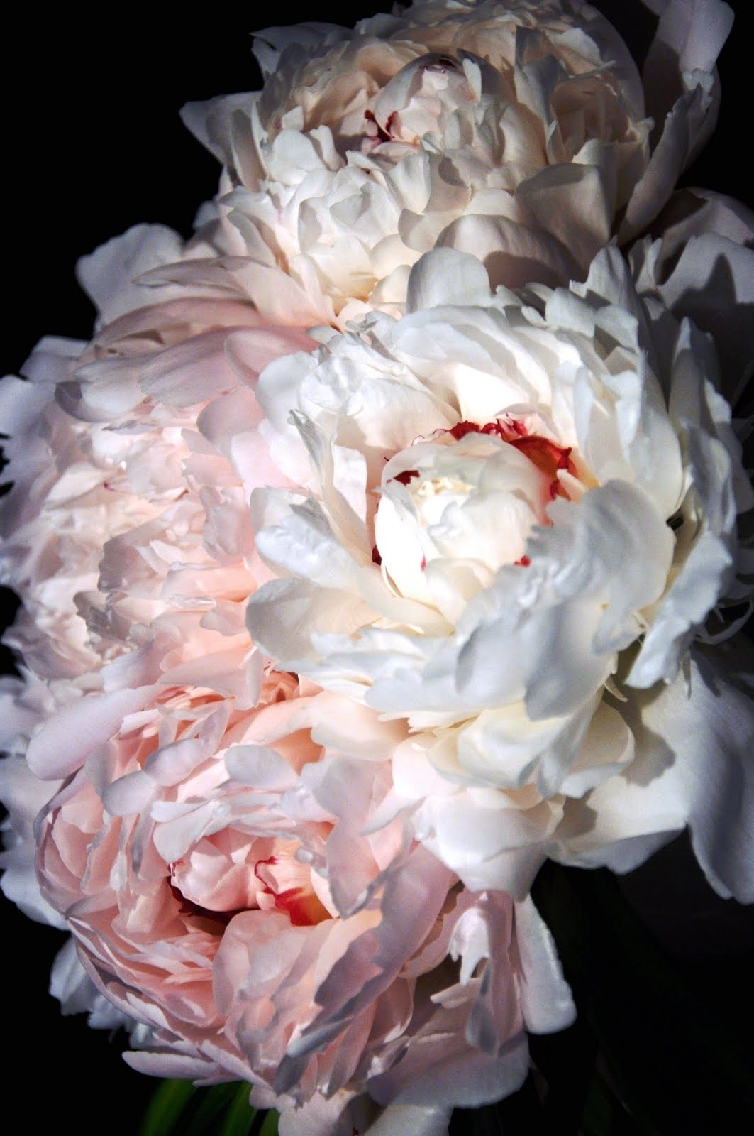 Follow my new blog