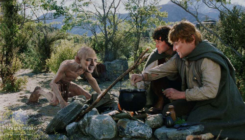 Nicolas Cage as Frodo, Sam, and Gollum cookin&rsquo; up a stew!