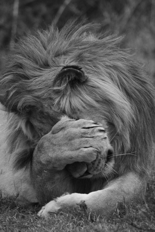 Where is my mind?