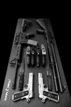 weaponzone:   Title: ” Weapon Buffet “ Credit: Zorin Denu 