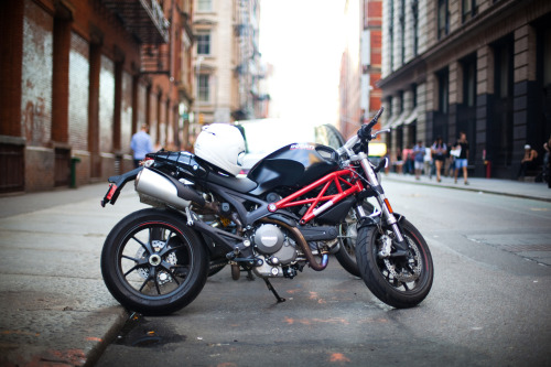 theadults:  Ducati 