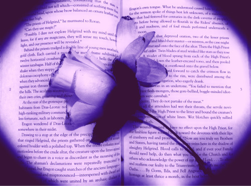 &ldquo;My flower, withered between the pages 2 and 3&hellip;&rdquo; -Nightwish, Nemo