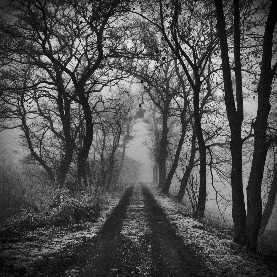 gruesomebeast:  worst dreams III by TomWasilewski 