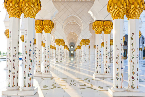 Beautiful pillars of the Grand Mosque in Abu Dhabi, United Arab Emirates (by MikkoH77).