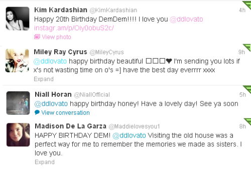 smilerinnarnia:  Happy 20th Birthday, Demi Lovato 