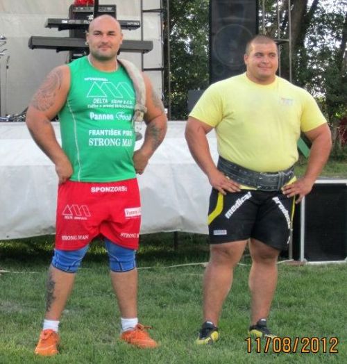 justbulls:  Thick Bulls