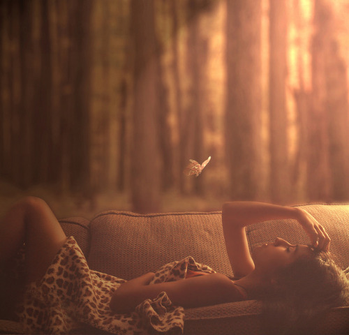 jared-tyler:  Napping in Nature 70/365 by shes_jack on Flickr. 