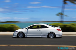 steadyhustle:  Hellaflush 8thgen Coupe Rolling on Flickr.  that shit looks dope af!!