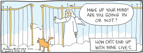 tastefullyoffensive:  [rhymeswithorange]