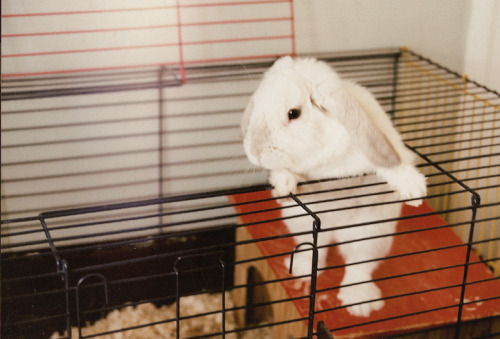 nonamesareleft:  tootiki (by rostbiff) 