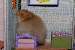 therealhamster:  the most accurate representation of me to date 