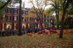 enchanting-autumn: Beacon Hill Halloween