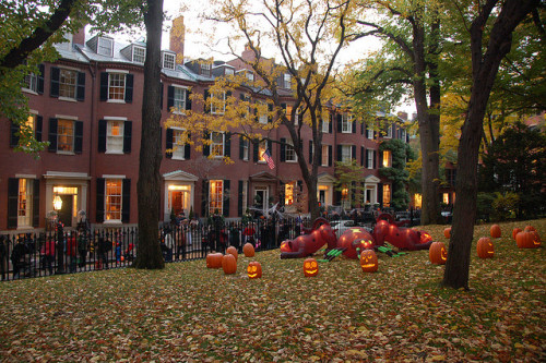 Porn enchanting-autumn: Beacon Hill Halloween photos