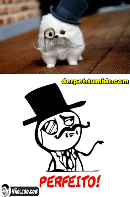 derpet:  awnnn 