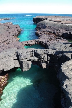 melinore:  Santiago Island, Galapagos, Ecuador