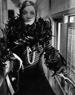 If this bitch flew over MY cuckoo&rsquo;s nest, I&rsquo;d mop all that shit up, I tell you what. ~Yü  (Marlene Dietrich, Shanghai Express, 1932, dir. Josef von Sternberg)