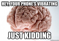 meme-spot:  Scumbag Brain The place where