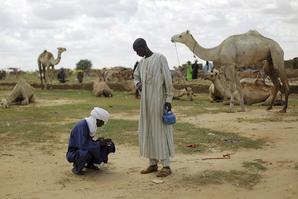 (vía The Frame: Sale of Niger nomad’s last camel is sign of hunger)