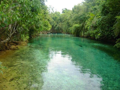 chilloasis: Enchanted River, Hinatuan, Surigao del Sur, Ph. Photo credits to Choose Philippines fac