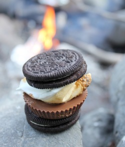 thedoorsandwhores:  oohhhbaby:  smoremet cooking  holy fuck gotta try this 