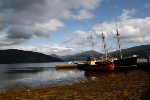 Our next stop was the extremely picturesque saltwater lochside village of Inveraray, where Erica and