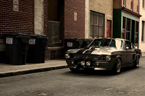 Ford Mustangs