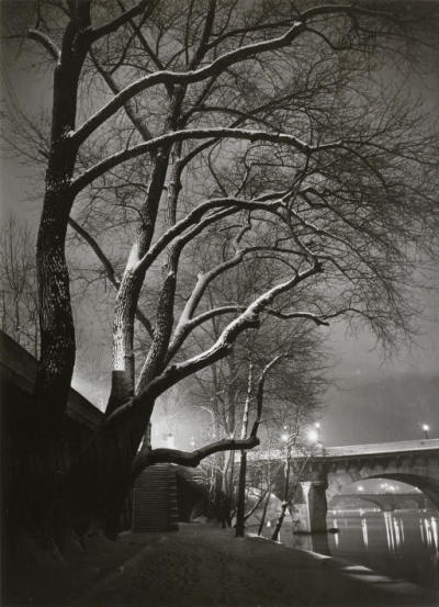 poboh:
“Arbres sur les quais, ca 1935, Brassai. (1899 - 1984)
”