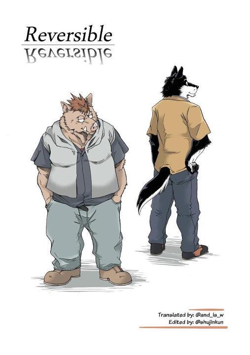 Reversible Part 1