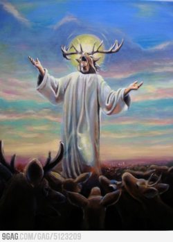 9gag:  Oh deer god 