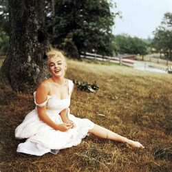 Marilyn lives.