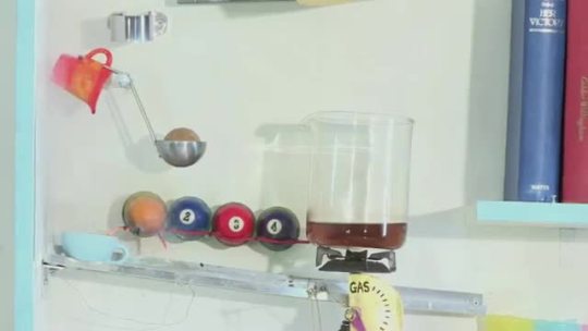 hypotheticalwoman:  catbountry:  andrew-scoot:  this iS REALLY FUCKING FUNNY JUST WAIT FOR IT TO GET GOING  That’s one hell of a Rube Goldberg machine.  all good rube goldberg machines contain a live animal 