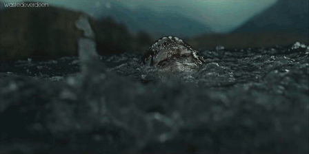wastedeverdeen:  Harry Potter and the Deathly Hallows Part 2 