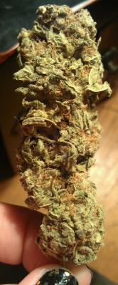 ashinkusher420:  smoke big nugs.