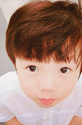 kris-wu-blog:  chris; the luhan lookalike baby pt2 ♔ 