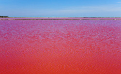 krgkrg:  This is beautiful, a lake in Southern France turned red due to high salt concentration. 