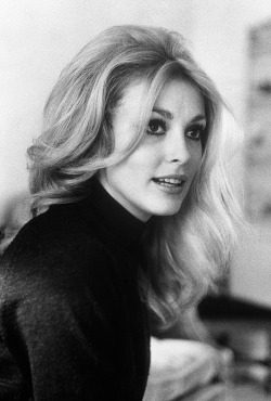 Sharon Tate, 1966.