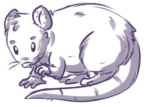 stream requests