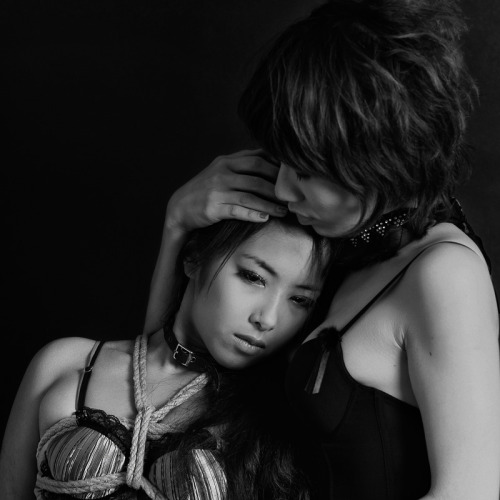 THE SHIBARI SCHOOL