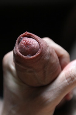 meetmycock:  drops of precum