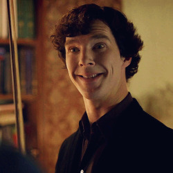 captainactiongrammarmom:  Sherlock’s “I have just remembered the name of John’s new girlfriend” face reminds me a lot of Toothless’s “I am trying to reciporocate this weird boy’s smile” face. Allow me to demonstrate (see: above.)
