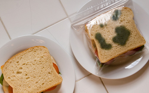 martinekenblog:Anti-Theft Lunch Bags are zipper bags that have green splotches printed on both sides