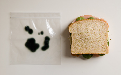 martinekenblog:Anti-Theft Lunch Bags are zipper bags that have green splotches printed on both sides