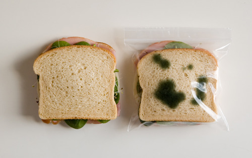 martinekenblog:Anti-Theft Lunch Bags are zipper bags that have green splotches printed on both sides