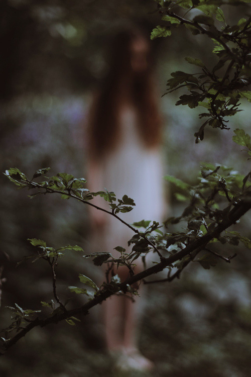 unpopularbutdivine:  x 